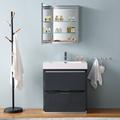 Kaydis Ivy Bronx 30" Free-Standing Single Sink Bathroom Vanity Set w/ Medicine Cabinet Wood/Plastic in Gray | 33.5 H x 30 W x 19 D in | Wayfair