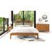 Copeland Furniture Berkeley 6 Drawer 59" W Double Dresser Wood in Brown/Red | 35.25 H x 58.75 W x 20.25 D in | Wayfair 2-BER-60-23