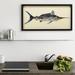 Longshore Tides Blue Marlin by Alex Zeng - Picture Frame Graphic Art Print on Paper in Blue/Brown/Red | 17 H x 33 W x 1.4 D in | Wayfair