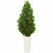 Brayden Studio® 63in. Bay Leaf Cone Topiary Artificial Tree in White Planter UV Resistant (Indoor/Outdoor) Silk/ | 63 H x 24 W x 24 D in | Wayfair