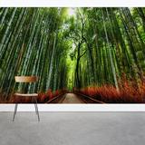 Wallums Wall Decor Bamboo Path 8' x 144" 3 Piece Wall Mural Fabric in Green | 144 W in | Wayfair 639206660-144x96