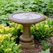 Lark Manor™ Connerton Birdbath Concrete, Copper in Brown | 14.75 H x 16 W x 16 D in | Wayfair 41ACA4187C4B431DB71AB766D757C5FE