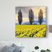 Fleur De Lis Living Skagit Valley Daffodils II by Alan Majchrowicz - Photograph Print on Canvas in Brown/Gray/Yellow | 24 H x 24 W x 2 D in | Wayfair