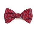Josh Bach Mens Science and Chemistry Self-Tie Silk Bow Tie in Red, Made in USA