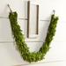 August Grove® Preserved Boxwood Garland | 3 H x 71 W x 3 D in | Wayfair EEF71227B46D4F128AD4B0F3E9920BA7