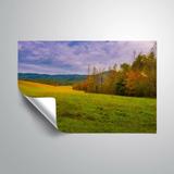 Millwood Pines Mountain Meadow II Removable Wall Decal Metal in Blue/Green/Yellow | 32 H x 48 W in | Wayfair E62CF66C5D3E420BAB963A53A783BE9B