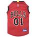 NBA Eastern Conference Mesh Jersey for Dogs, Large, Chicago Bulls, Red