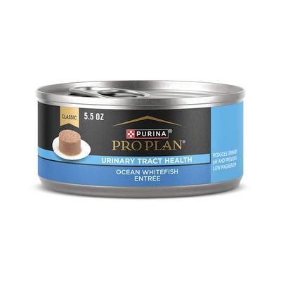 Purina Pro Plan Urinary Tract Health Ocean Whitefish Entree Cat Food Wet Pate, 5.5 oz., Case of 24
