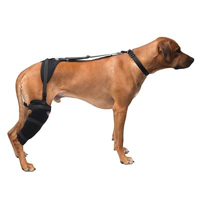 Caldera Hot & Cold Therapy Wrap with Gel for Dog Stifles, Large