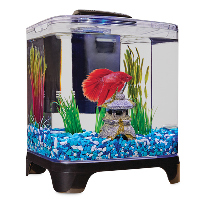 Imagitarium Betta Desktop Kit, 1.4 GAL