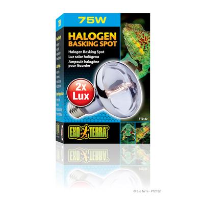 Exo-Terra Halogen Basking Spot Lamp, 75 Watts