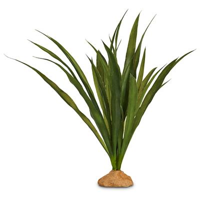 Imagitarium Orchid Grass Terrarium Plant, 9" L X 13" H