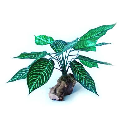Mac's Creations Large Assorted Reptile Habitat Plant