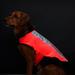 Spot-Lite Dog Reflective Jacket with Orange LED Lights, X-Small