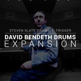 Steven Slate Audio David Bendeth...