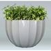 Allied Molded Products Miami Composite Pot Planter Composite in Green/White | 36 H x 60 W x 60 D in | Wayfair 1SU-6036-PD-34