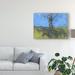 Winston Porter Heathland Tree Study by Paul Bailey - Wrapped Canvas Painting Print Canvas in White/Black | 35 H x 47 W x 2 D in | Wayfair