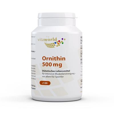 Ornithin 500 mg Kapseln 120 St Image