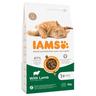 IAMS Advanced Nutrition Adult Cat con Agnello - 3 kg