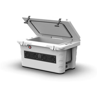 Wet Sounds SHIVR-55-WHT White Cooler Speaker System