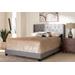 Baxton Studio Brady Modern and Contemporary Light Grey Fabric Upholstered Queen Size Bed - 95-Brady-Grey-Queen