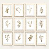 Fragile Blossoms Art - Print X, 30" x 23" - Ballard Designs 30" x 23" - Ballard Designs