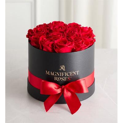 1-800-Flowers Flower Delivery Magnificent Preserved Red Roses Classic Red