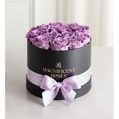 1-800-Flowers Flower Delivery Magnificent Preserved Lavender Roses Classic Lavender