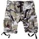 Surplus Airborne Vintage Shorts, grey, Size L