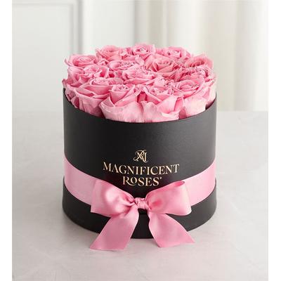 1-800-Flowers Flower Delivery Magnificent Preserved Roses Classic Pink | Happiness Delivered To Their Door