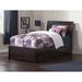 Viv + Rae™ Lampley Twin Platform Bed w/ Trundle by Harriet Bee Wood in Brown | 44.25 H x 41.5 W x 82 D in | Wayfair