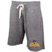 Men's Concepts Sport Gray Loyola Chicago Ramblers Mainstream Terry Shorts