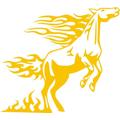 Indigos 4051095041085 Wandtattoo w336 Pferd Tribal Wandauskleber in 3 Größen, 96 x 88 cm, gold