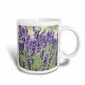 3dRose USA, WA, Sequim, Lavendel flower-us48 rti0243-rob Hut Tasse von Tilley, Keramik, weiß, 11,43 x 8,45 x 12,7 cm