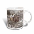 3dRose, Sage Grouse Vogel- und Ballerinas, oregon-us38 rbr0062-rick A Brown-Mug, Keramik, Weiß, 12,7 cm x 11,43 x Stollen