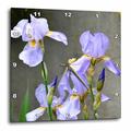 3dRose DPP_51835_3 Wanduhr, Motiv Lavendel Iris Blumen, 38 x 38 cm