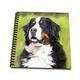 3dRose DB 4402 _ 3 Berner Sennenhund Mini Notizblock, 4 von 10,2 cm