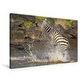 Calvendo Premium Textil-Leinwand 90 x 60 cm Quer-Format Das Zebra Rettet Sich nach Einer Krokodilattacke | Wandbild, HD-Bild auf Keilrahmen, Fertigbild auf von Ingo Gerlach Tiere Tiere