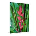 Calvendo Premium Textil-Leinwand 80 cm x 120 cm hoch, Heliconia Hawaii | Wandbild, Bild auf Keilrahmen, Fertigbild auf Echter Leinwand, Leinwanddruck: Ein Wilde Flora - Hawaii Natur Natur