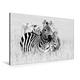 Calvendo Premium Textil-Leinwand 90 cm x 60 cm Quer, Ein Motiv aus Dem Kalender Emotionale Momente: Zebras - Black and White. | Wandbild, Bild auf Keilrahmen. Leinwand, Leinwanddruck Tiere Tiere