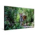 Calvendo Premium Textil-Leinwand 75 cm x 50 cm Quer, Tiger | Wandbild, Bild auf Keilrahmen, Fertigbild auf Echter Leinwand, Leinwanddruck: Sibirischer Tiger Tiere Tiere