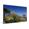 Calvendo Premium Textil-Leinwand 75 cm x 50 cm Quer, Tafelberg National Park | Wandbild, Bild auf Keilrahmen, Fertigbild auf Echter Leinwand, Leinwanddruck: Südafrika Orte Orte