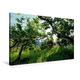 Calvendo Premium Textil-Leinwand 90 cm x 60 cm Quer, der Südtiroler Apfel | Wandbild, Bild auf Keilrahmen, Fertigbild auf Echter Leinwand, Leinwanddruck Natur Natur