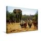 Calvendo Premium Textil-Leinwand 45 cm x 30 cm Quer, Elefant und Andere Afrikanische Tiere | Wandbild, Bild auf Keilrahmen, Fertigbild auf Echter Leinwand, Leinwanddruck: Namibia Natur Natur