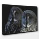 BIG Box Art Canvas Print 20 x 14 Inch (50 x 35 cm) Dark Grey Owls Birds - Canvas Wall Art Picture Ready to Hang