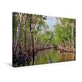 Calvendo Premium Textil-Leinwand 45 cm x 30 cm Quer, Tropische Mangrovenwälder im Everglades-Nationalpark, Florida | Wandbild, Bild auf Keilrahmen, Fertigbild Florida, USA Orte Orte