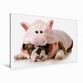 Leinwand EIN Motiv aus dem Kalender English Bulldog XXL Models 120x80cm, Special-Edition Wandbild, Bild auf Keilrahmen, Fertigbild auf hochwertigem Textil, Leinwanddruck, kein Poster