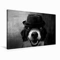 Premium Textil-Leinwand 75 cm x 50 cm Quer Border Collie Bild auf Leinwand | Wandbild, Bild auf Keilrahmen, Fertigbild auf Echter Leinwand, Leinwanddruck