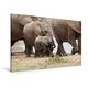 Calvendo Premium Textil-Leinwand 120 cm x 80 cm Quer Elefanten im Schutz der Familie | Wandbild, Bild auf Keilrahmen, Fertigbild auf Echter Leinwand, Leinwanddruck