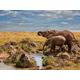 Mario Moreno "Elephants of Maasai Mara, 60 x 80 cm, Leinwanddruck